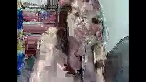 Chantal24 online show from November 2025 03:36:01 PM