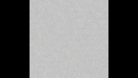 D A N A online show from October 2025 09:16:01 PM