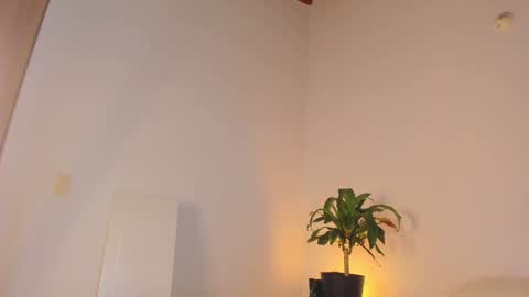 misspaulag online show from January 2025 04:03:01 AM