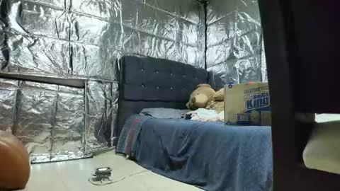 Snapshot of missstres_scarleth chatting on November 2025 02:55:02 AM SCARLETH online show from November 2025 02:55:02 AM