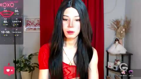 Stella online show from November 2025 07:36:02 AM