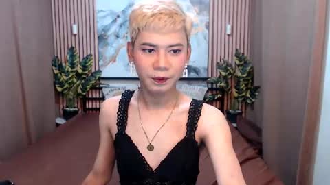 Stella online show from August 2026 05:54:02 AM