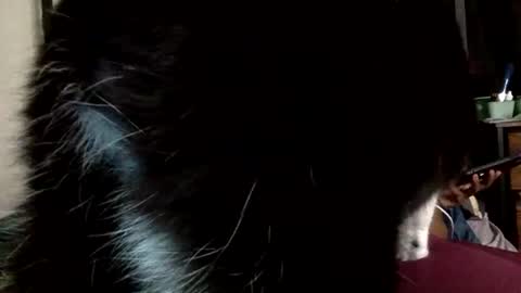 Mistress Mystii online show from March 2026 05:42:01 AM