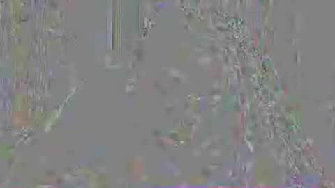 Mistress Mystii online show from July 2026 03:02:02 AM
