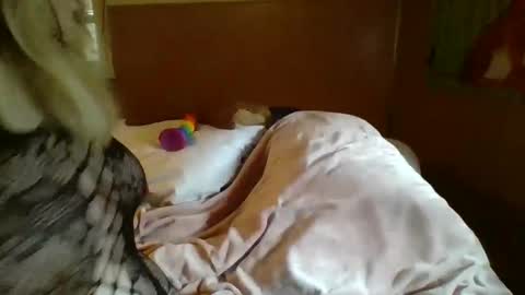 Snapshot of mitchellebunny7 chatting on February 2025 06:48:01 PM MichelleBunny7 online show from February 2025 06:48:01 PM