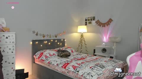 Snapshot of mjgreencat chatting on December 2024 06:59:02 PM mj online show from December 2024 06:59:02 PM