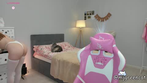 Snapshot of mjgreencat chatting on January 2025 04:43:02 PM mj online show from January 2025 04:43:02 PM