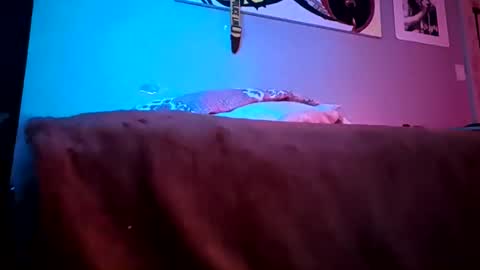 Daddy720 online show from March 2026 11:41:02 PM