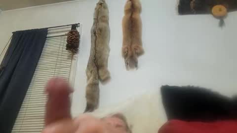 cum show j online show from March 2025 02:04:02 AM