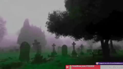 Lois online show from October 2025 08:29:01 PM