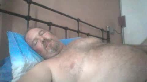 Snapshot of mofu781s chatting on August 2026 11:34:02 AM mofu781s online show from August 2026 11:34:02 AM