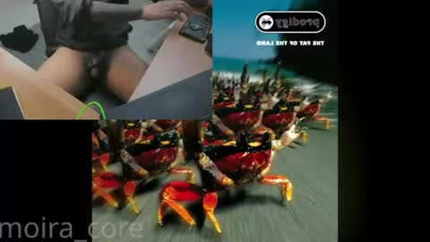 moira_core online show from July 2026 10:13:01 AM