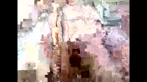 Richard Sheridan online show from September 2025 09:53:01 PM