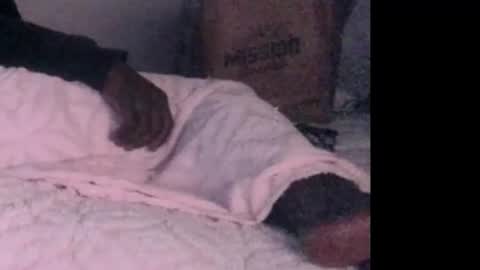 Snapshot of montydxxx2 chatting on February 2026 06:40:02 AM montydxxx2 online show from February 2026 06:40:02 AM