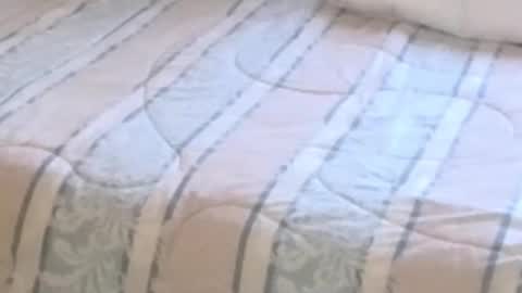 Snapshot of montydxxx2 chatting on February 2026 11:22:01 PM montydxxx2 online show from February 2026 11:22:01 PM