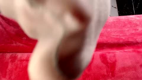 moolly_evanz online show from February 2026 02:34:01 PM