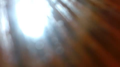 Tina online show from February 2026 06:30:01 PM