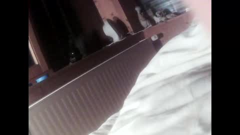 Snapshot of moos1 chatting on September 2025 06:42:01 PM moos1 online show from September 2025 06:42:01 PM