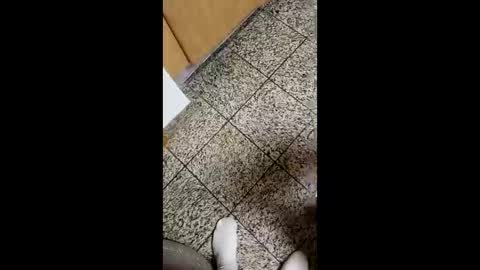 Snapshot of moos1 chatting on October 2025 04:10:01 AM moos1 online show from October 2025 04:10:01 AM