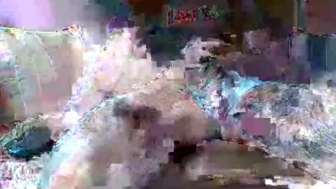 morboso2563 online show from November 2025 10:30:02 PM