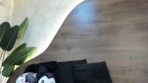  Morgan  online show from January 2025 11:49:02 AM