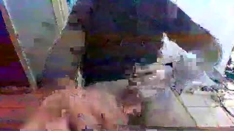 mppempis81 online show from November 2025 07:27:01 AM