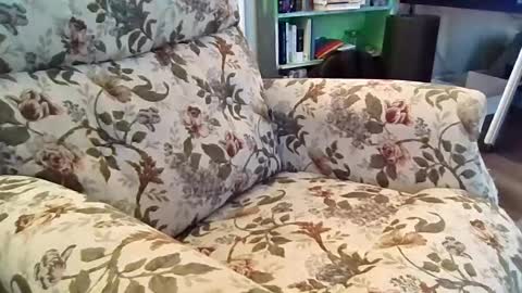 mr_atwood online show from August 2026 06:43:02 PM