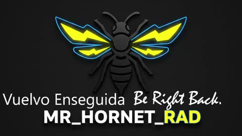 Snapshot of mr_hornet_rad chatting on May 2026 01:18:01 PM mr_hornet_rad online show from May 2026 01:18:01 PM