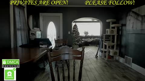 MrBrew online show from December 2024 07:36:01 PM