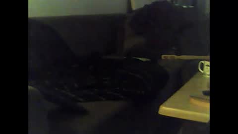 Nikola online show from January 2025 12:01:02 PM