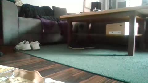 Nikola online show from February 2025 11:52:01 AM