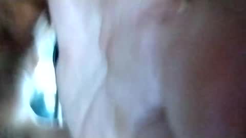 mrhotcock7inch online show from December 2024 08:24:01 AM