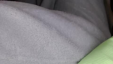 Mister Jean Nemar online show from January 2026 08:12:01 PM