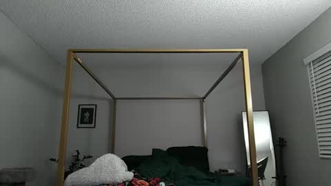 Snapshot of mrricomustachio chatting on December 2024 05:09:02 AM Rico online show from December 2024 05:09:02 AM