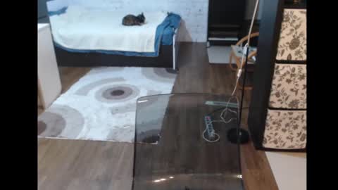 Sasha online show from March 2025 03:23:02 PM