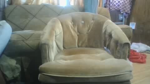 mrstergreen9 online show from October 2025 08:29:02 PM