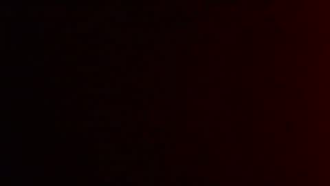 mrzwolle online show from January 2025 04:51:02 PM