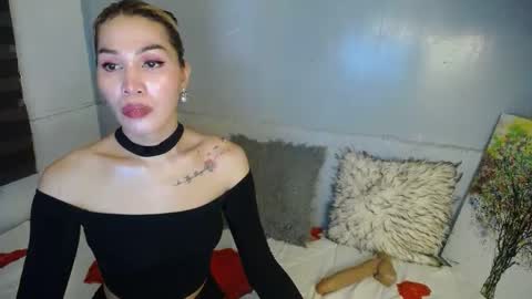 Snapshot of ms_vip chatting on February 2025 05:47:01 AM FRITZ 3 online show from February 2025 05:47:01 AM