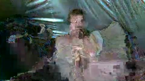 mudjimba online show from March 2026 04:29:02 PM