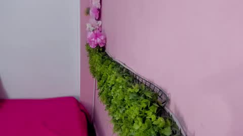 Mulan online show from March 2026 12:43:02 PM