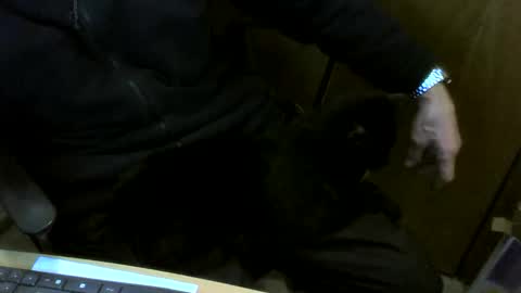 Snapshot of muller520 chatting on February 2026 04:44:01 PM muller520 online show from February 2026 04:44:01 PM