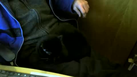 muller520 online show from March 2026 05:29:01 PM