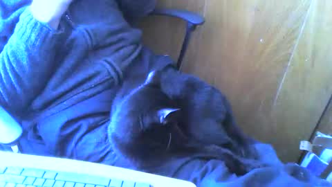 muller520 online show from April 2026 02:26:01 PM