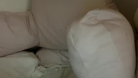   online show from December 2024 10:03:02 PM