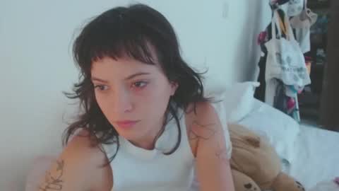   online show from November 2025 04:52:02 PM