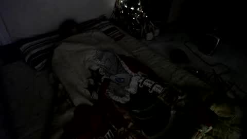 Muse Ali  online show from December 2024 08:00:02 AM