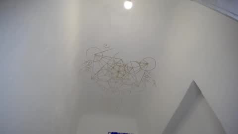 Muse Ali  online show from December 2024 07:44:02 AM