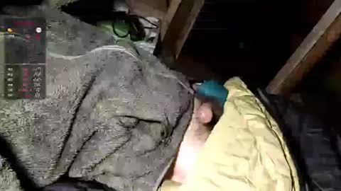 Maty online show from September 2025 05:12:01 AM