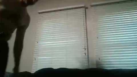 vienna online show from November 2025 10:26:01 PM