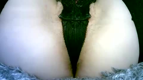 my_tightholes online show from February 2026 06:50:01 PM